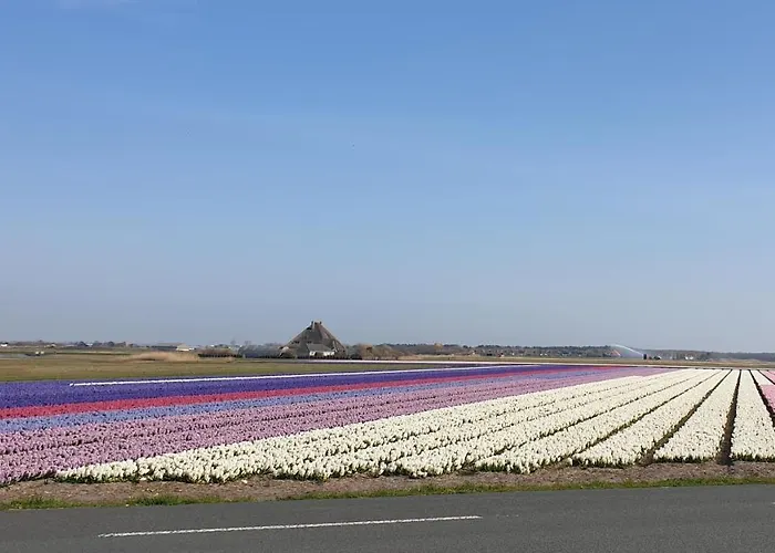 Frühstückspension Bzonderb 3*
