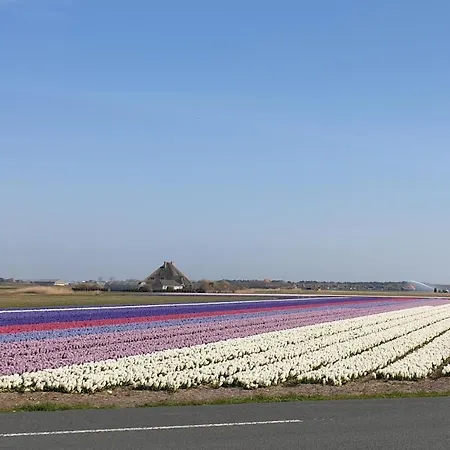 Couette-café Bzonderb 3*