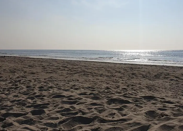 Couette-café Bzonderb Callantsoog